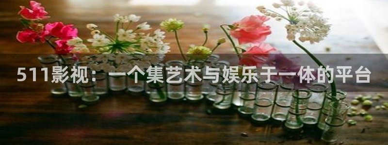 秋霞在线伦理影院：511影视：一个集艺术与娱乐于一体的平台