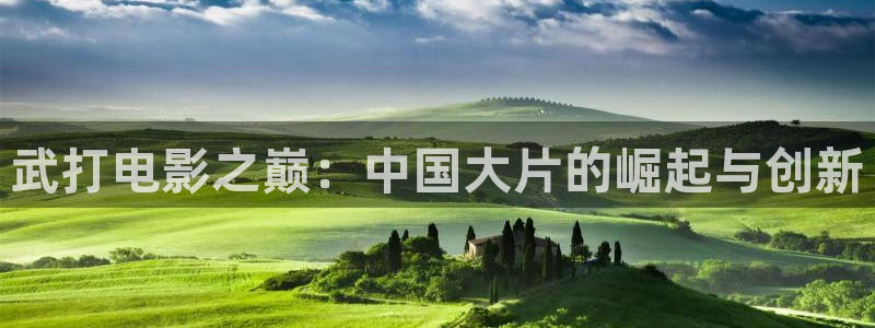 天堂伦理影片：武打电影之巅：中国大片的崛起与创新