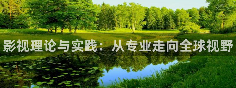 久久伦理视频免费观看：影视理论与实践：从专业走向全球视野