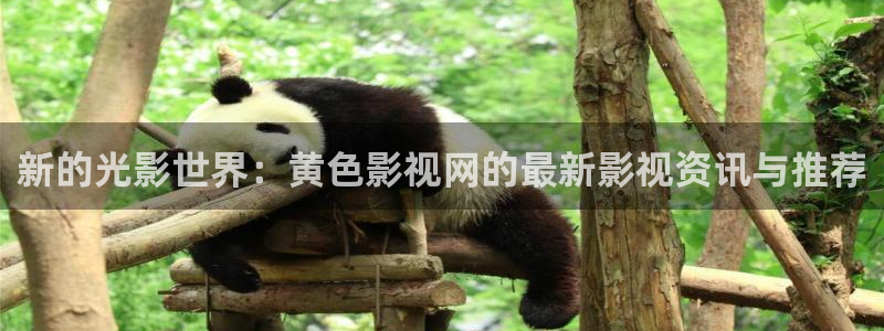 达达兔伦理影院：新的光影世界：黄色影视网的最新影视资讯与推荐