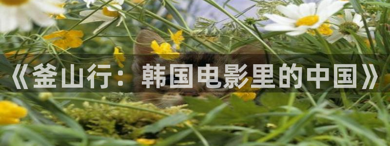 秋霞午夜伦理影视：《釜山行：韩国电影里的中国》