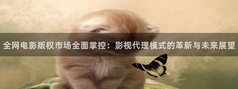 成人伦理视频网站：全网电影版权市场全面掌控：影视代理模式的革新与未来展望