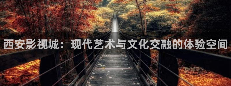 yy私人伦理影院：西安影视城：现代艺术与文化交融的体验空间