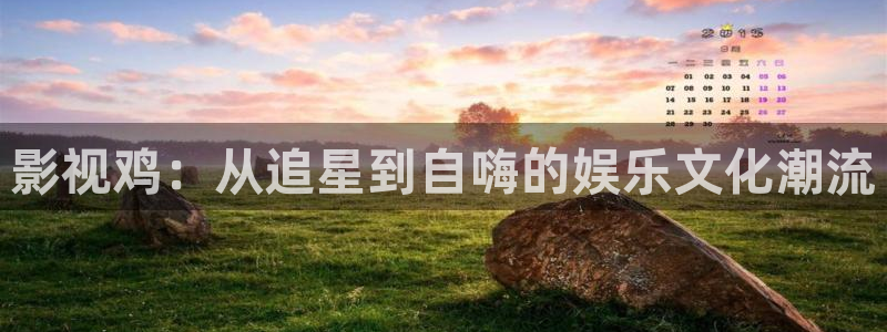欧美伦理影院：影视鸡：从追星到自嗨的娱乐文化潮流