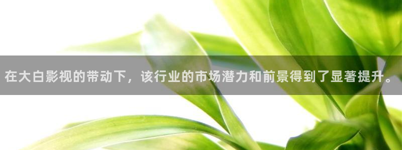 动漫伦理影片：在大白影视的带动下，该行业的市场潜力和前景得到了显著提升。