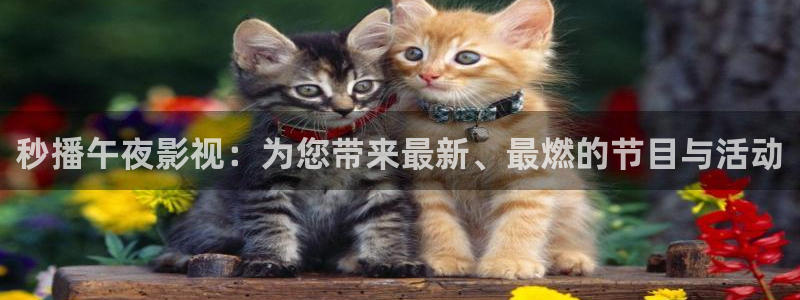 成人在线伦理视频：秒播午夜影视：为您带来最新、最燃的节目与活动