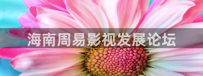 爱爱伦理影院：海南周易影视发展论坛